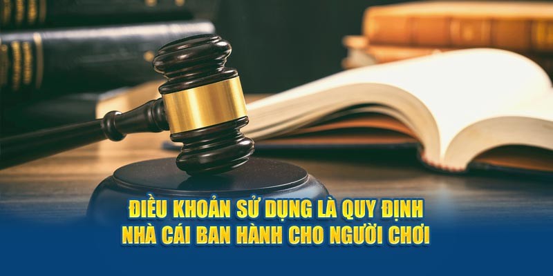 Có nhiều chính sách dành cho bạn