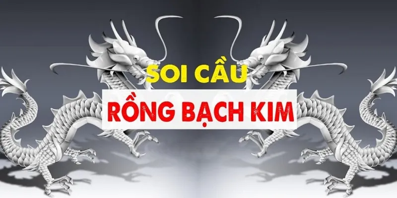 Tổng quan cơ bản về soi cầu rồng